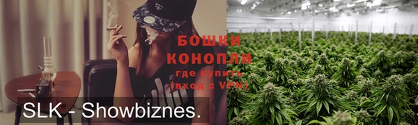 spice Дмитриев