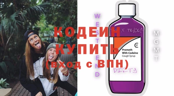 гашик Дмитров