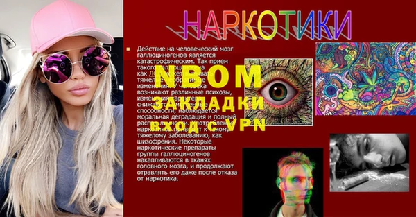 гашик Дмитров