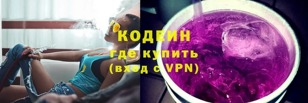 гашик Дмитров