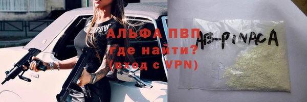 гашик Дмитров