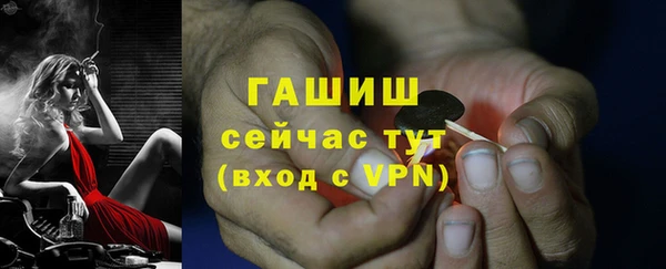 гашик Дмитров