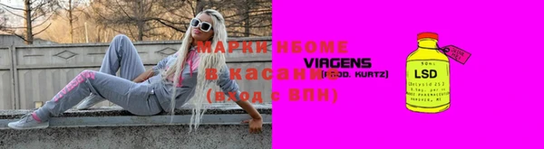 гашик Дмитров