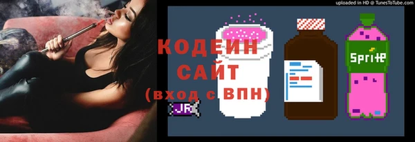 гашик Дмитров