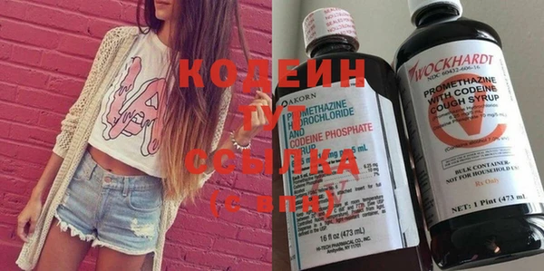 spice Дмитриев