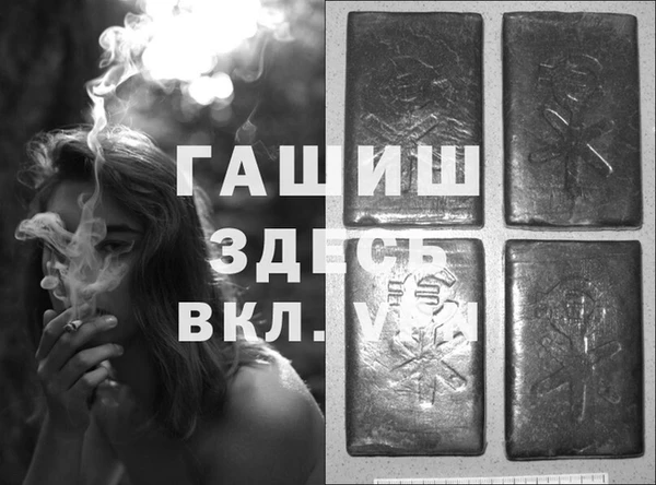spice Дмитриев
