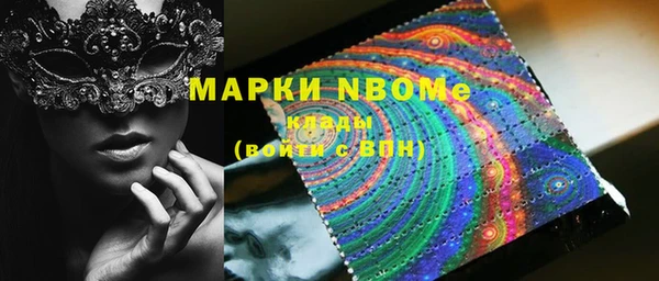 стафф Тайга