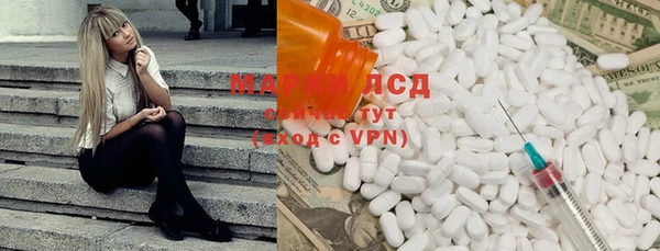 гашик Дмитров