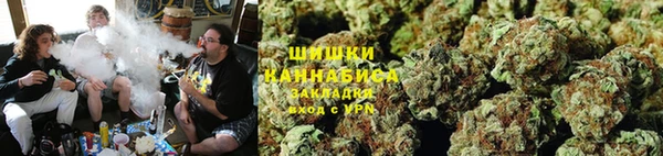 spice Дмитриев