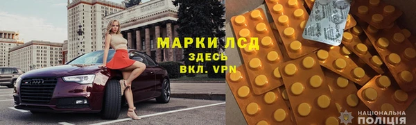 spice Дмитриев