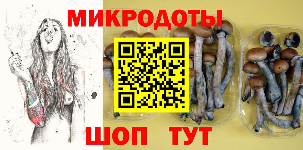 Псилоцибиновые грибы мухоморы Всеволожск