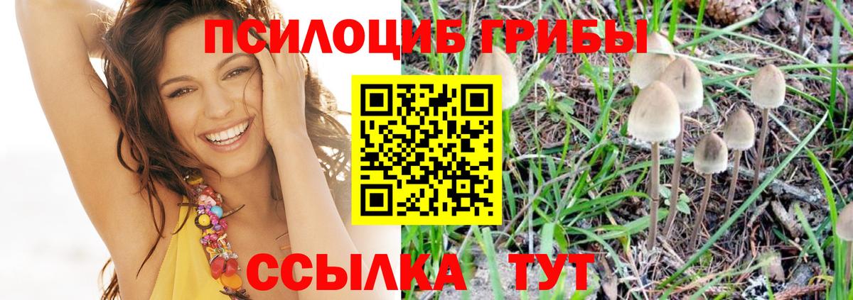 Псилоцибиновые грибы мухоморы  Вход с VPN  Псилоцибиновые грибы прущие грибы  Всеволожск 